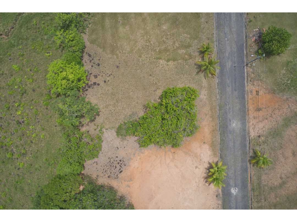 En venta Lote Campestre en Palmas de Capira con Financiamiento o Cash — foto 2