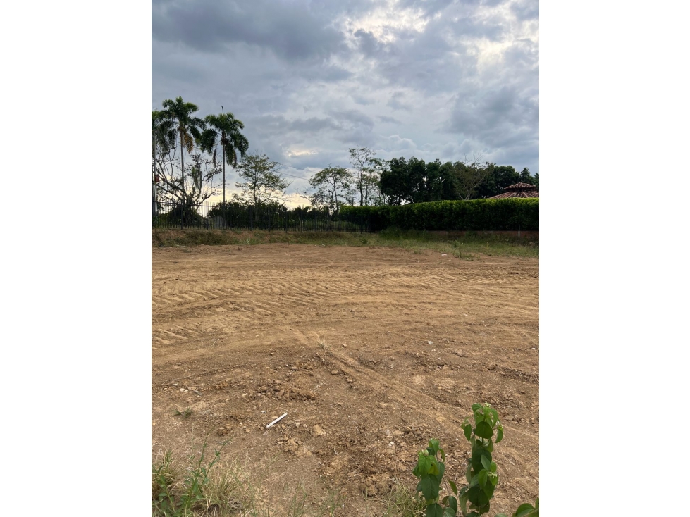 EN VENTA LOTE CAMPESTRE EXCEPCIONAL UBICACIÓN EN CERRITOS — foto 4