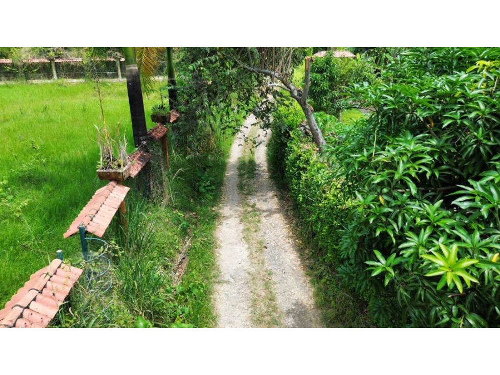 En Venta Lote Campestre La Mesa/Via San Joaquin 5.000 m2 — foto 4