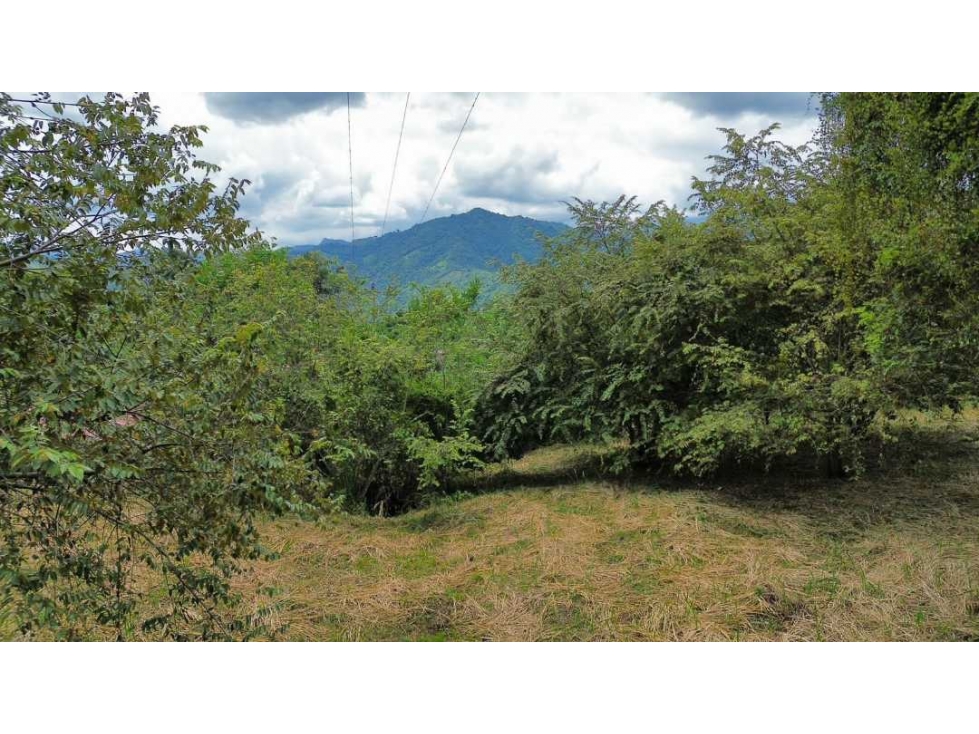 En Venta Lote Campestre La Mesa/Via San Joaquin 5.000 m2 — foto 5