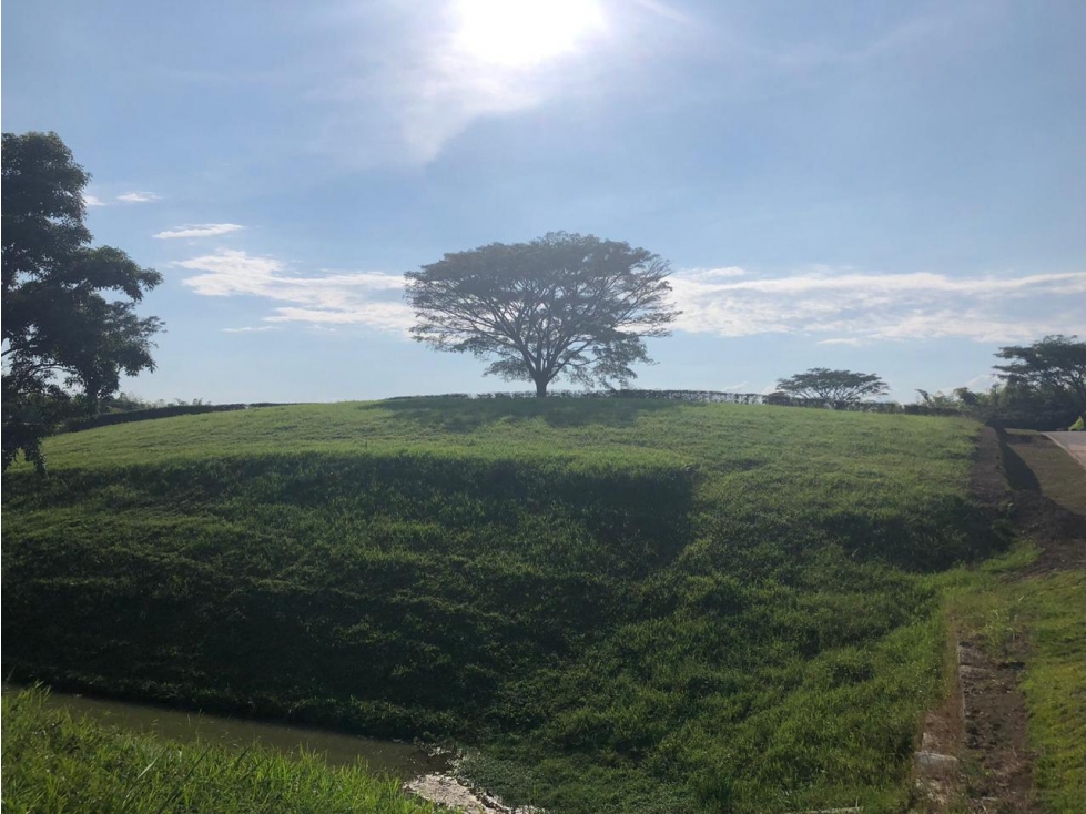 EN VENTA LOTE CAMPESTRE MALABAR CERRITOS PEREIRA — foto 2
