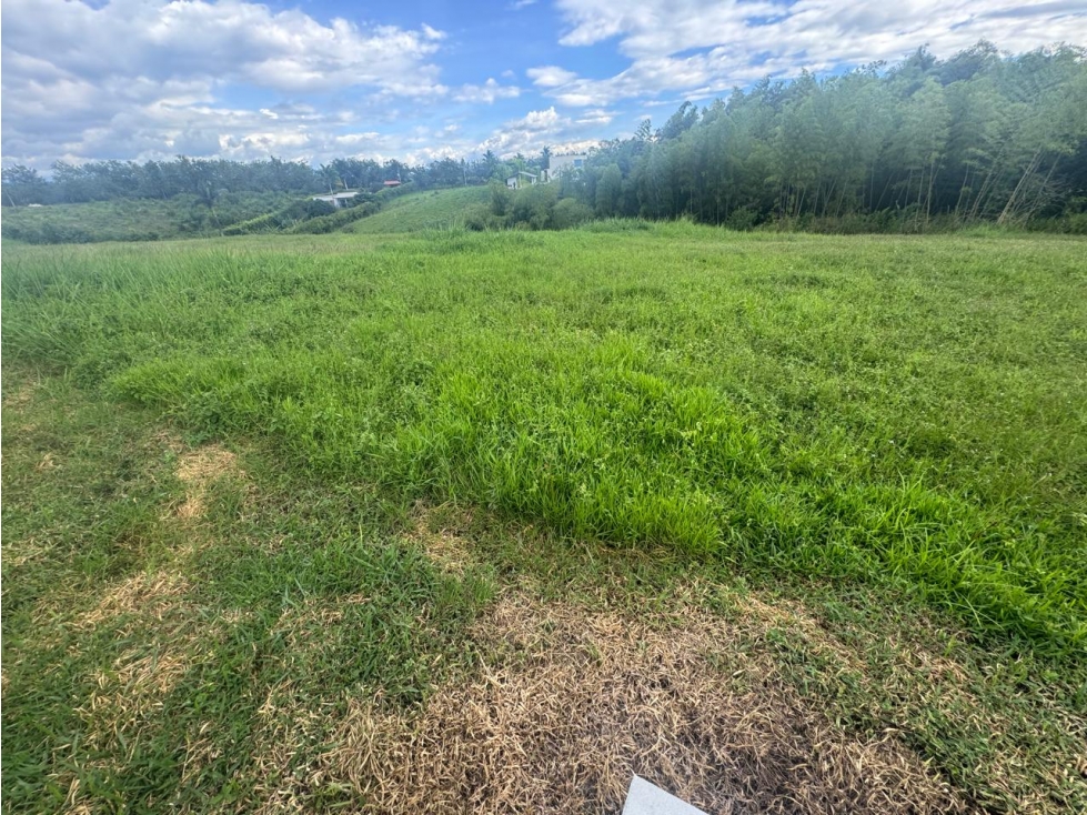 EN VENTA LOTE EN CONDIMINIO CAMPESTRE CERRITOS PEREIRA — foto 3