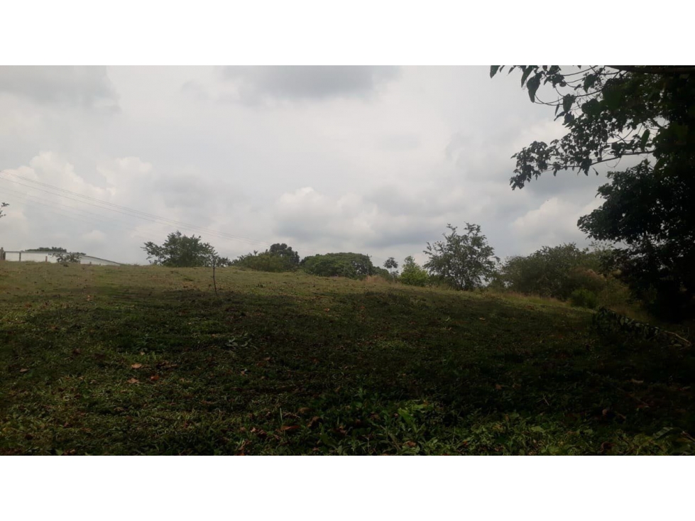 EN VENTA LOTE EN CONDOMINIO CERRITOS PEREIRA — foto 6