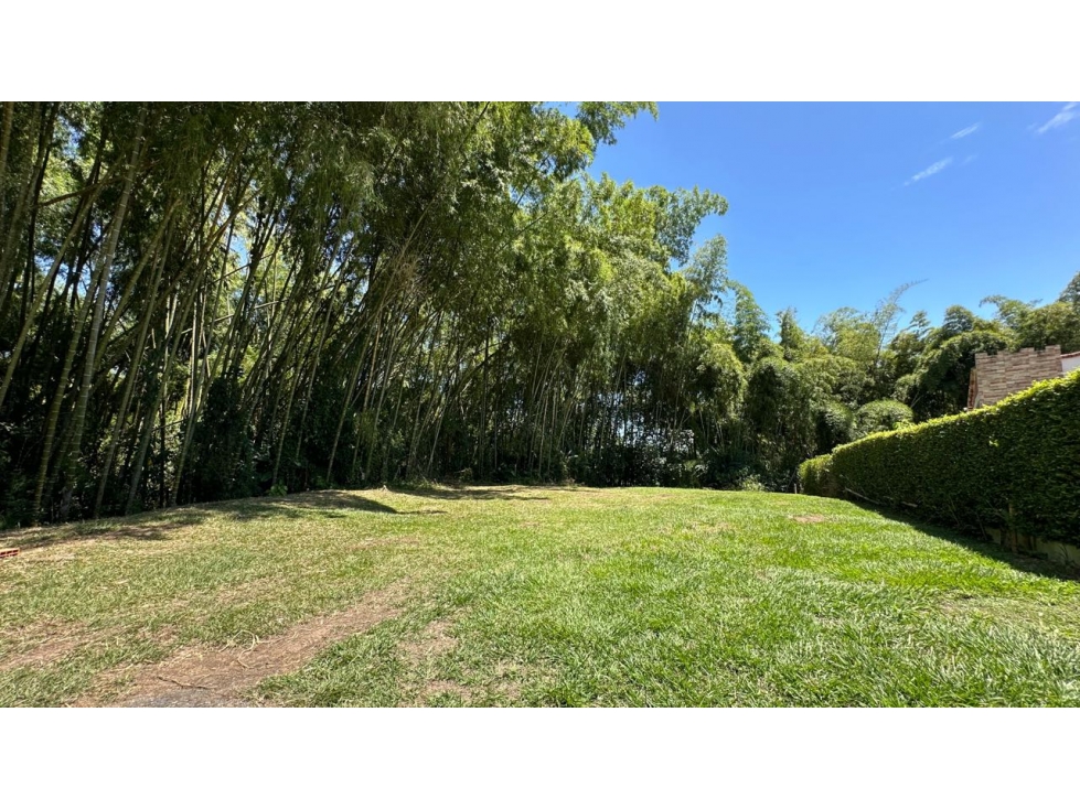 EN VENTA LOTE PLANO EN EL TIGRE CERRITOS PEREIRA