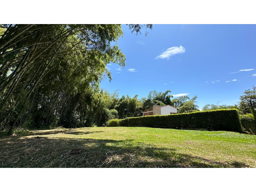 EN VENTA LOTE PLANO EN EL TIGRE CERRITOS PEREIRA — foto 5