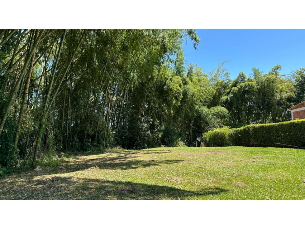 EN VENTA LOTE PLANO EN EL TIGRE CERRITOS PEREIRA — foto 2