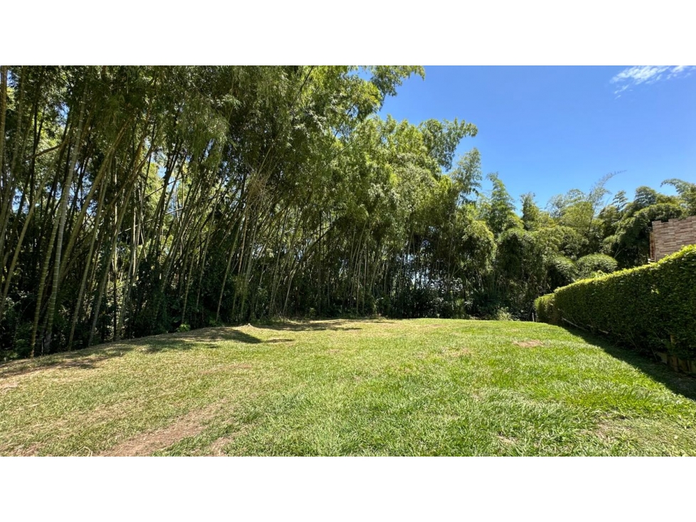 EN VENTA LOTE PLANO EN EL TIGRE CERRITOS PEREIRA — foto 3
