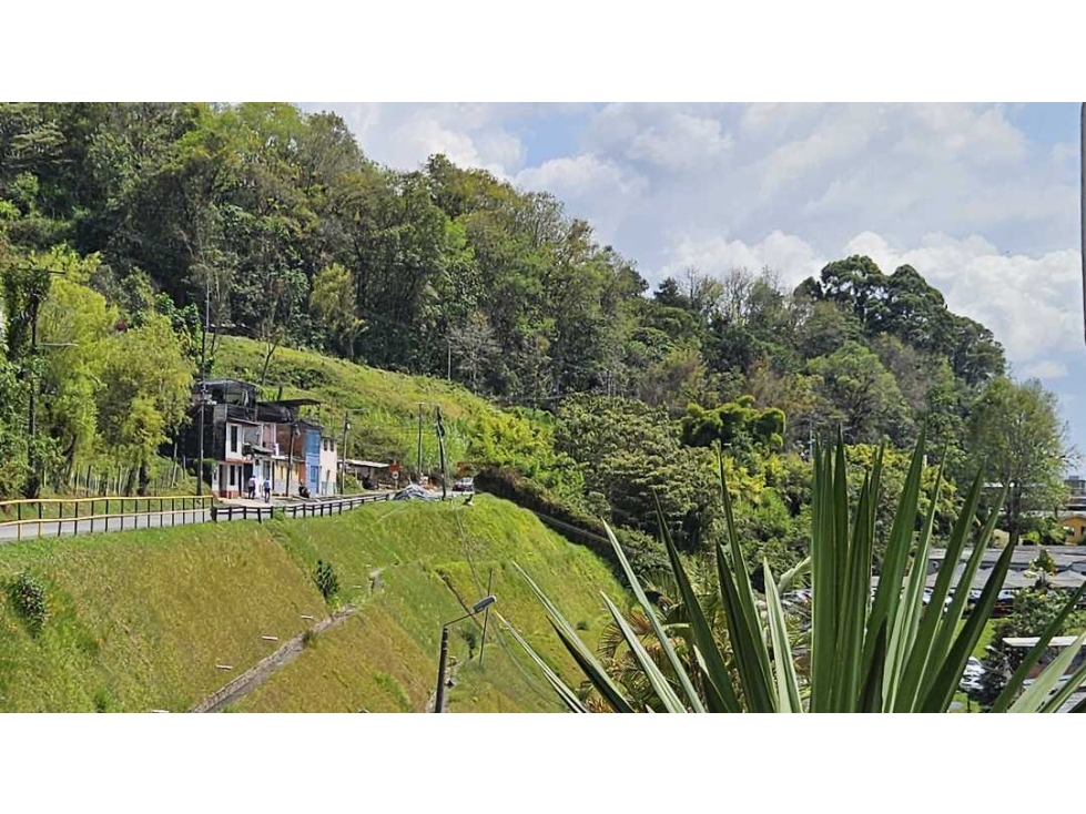 EN VENTA LOTE EN MANIZALES- CALDAS — foto 3
