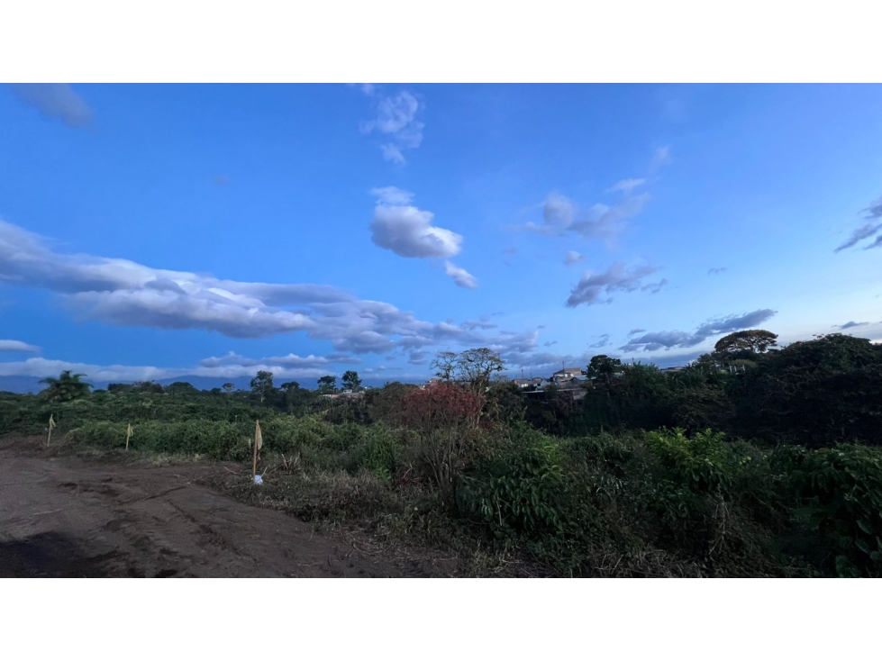 EN VENTA LOTE EN PARCELACIÓN QUIMBAYA — foto 4