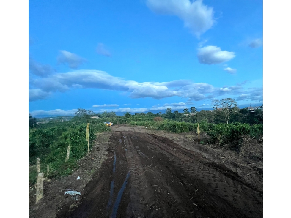 EN VENTA LOTE EN PARCELACIÓN QUIMBAYA — foto 5