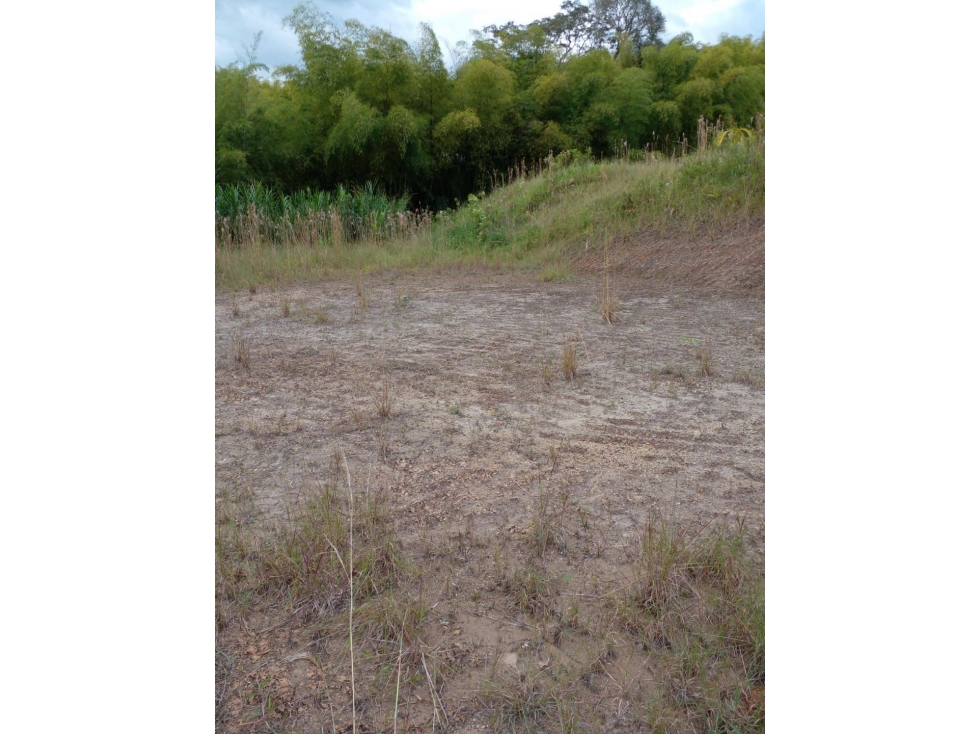 EN VENTA LOTE EN PARCELACION CONDINA PEREIRA — foto 2