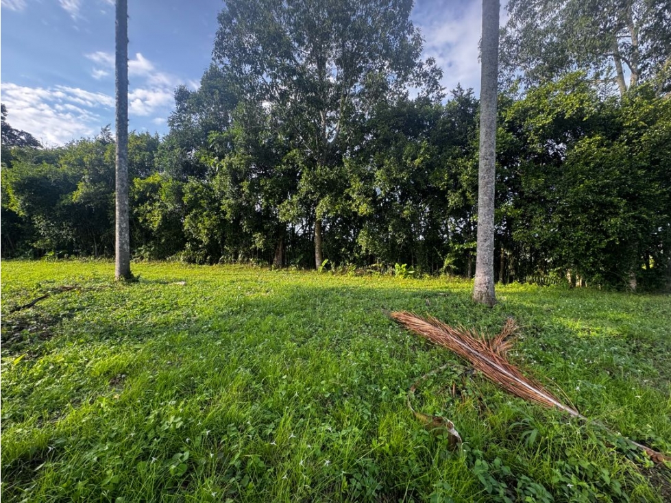 EN VENTA LOTE EN TRES PUERTAS PEREIRA — foto 4
