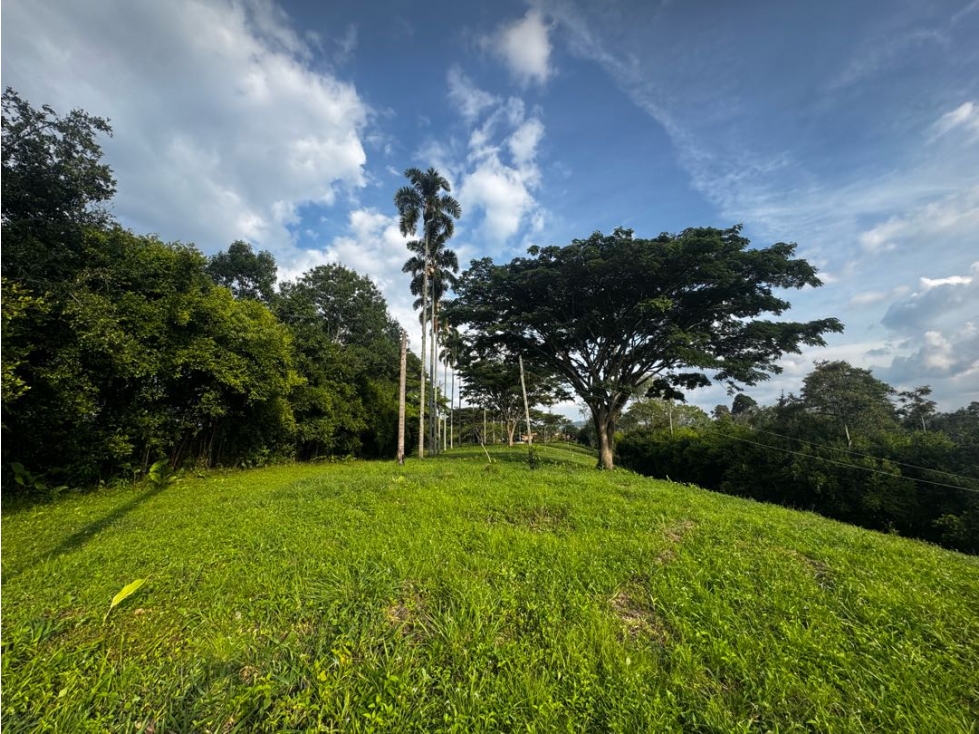 EN VENTA LOTE EN TRES PUERTAS PEREIRA — foto 6