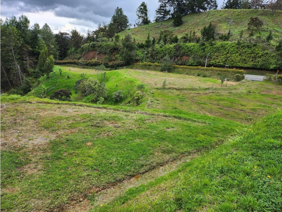 En venta lote vía las palmas destinación mixta — foto 4