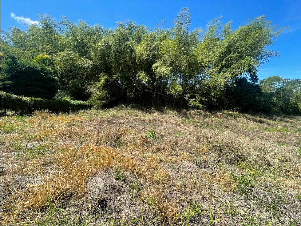 EN VENTA LOTE VIA ALCALA PEREIRA — foto 2