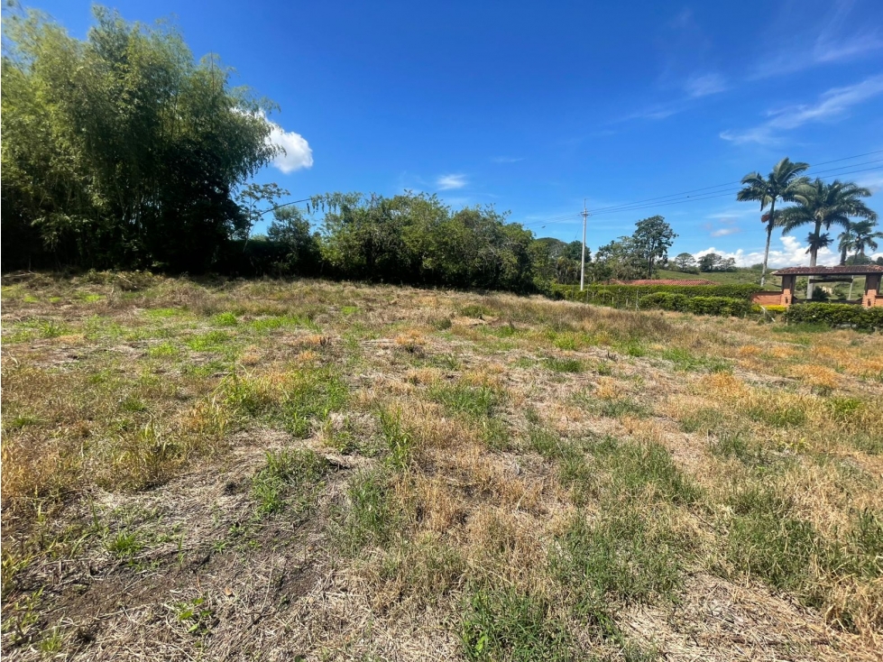 EN VENTA LOTE VIA ALCALA PEREIRA — foto 6
