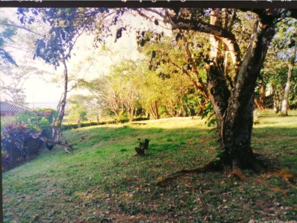 En Venta terreno Chame- cerca a Coronado — foto 3