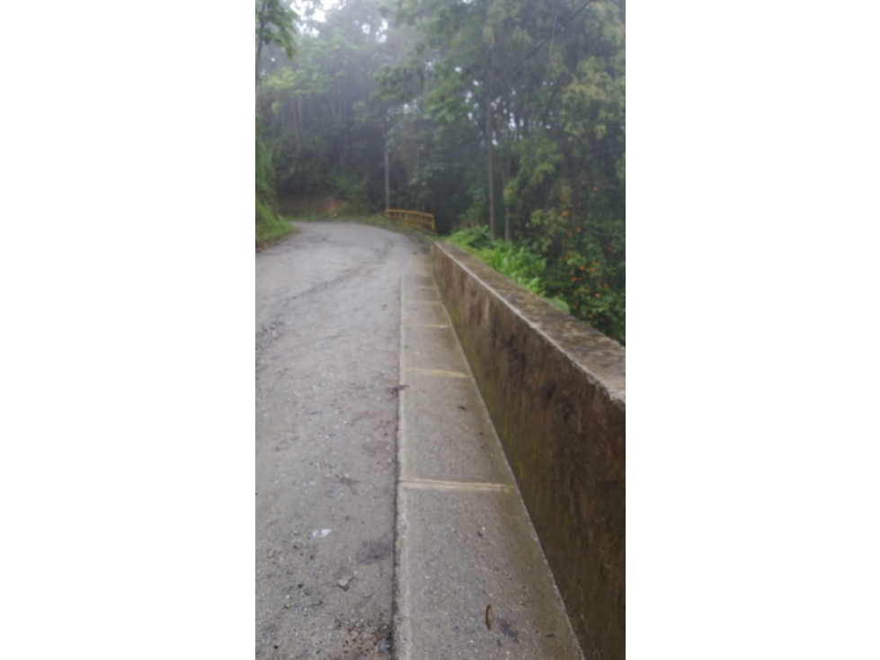 EN VENTA TERRENO DE 24,7 HECTAREAS VIA CERRO DE ORO EN MANIZALES