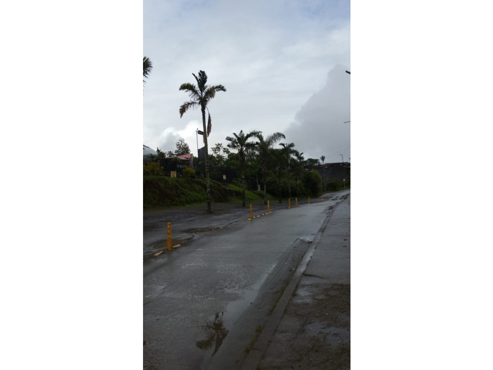 EN VENTA TERRENO DE 24,7 HECTAREAS VIA CERRO DE ORO EN MANIZALES — foto 2