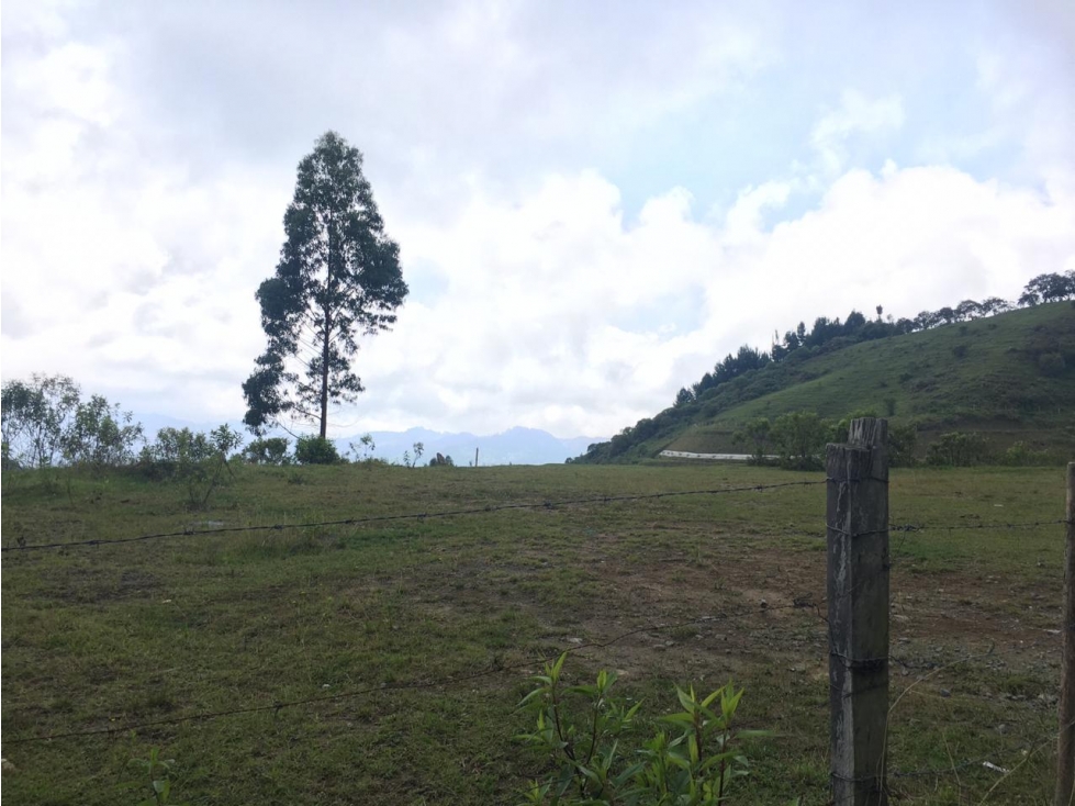 EN VENTA TERRENO DE 24,7 HECTAREAS VIA CERRO DE ORO EN MANIZALES — foto 5