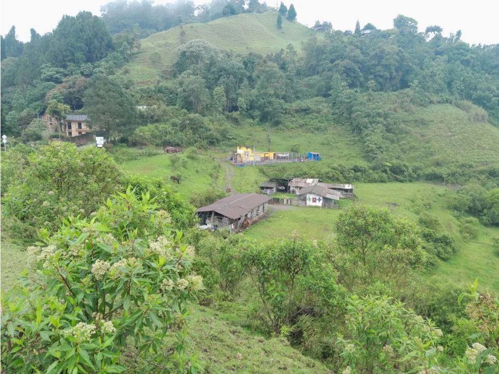 EN VENTA TERRENO DE 24,7 HECTAREAS VIA CERRO DE ORO EN MANIZALES — foto 6