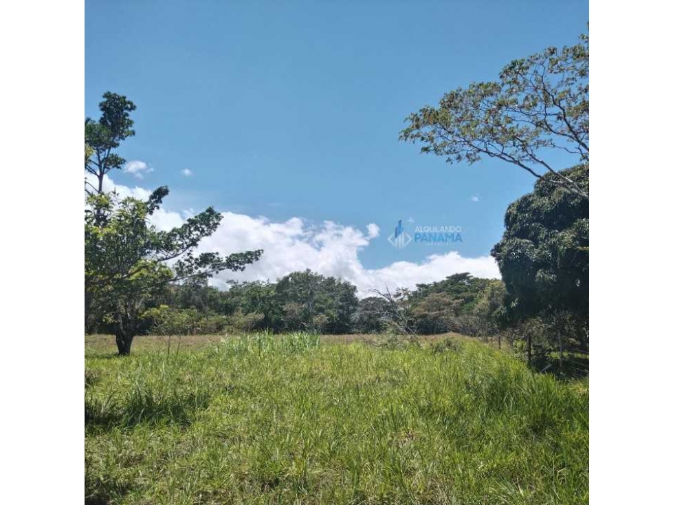 En venta terreno en Alto Boquete - 3