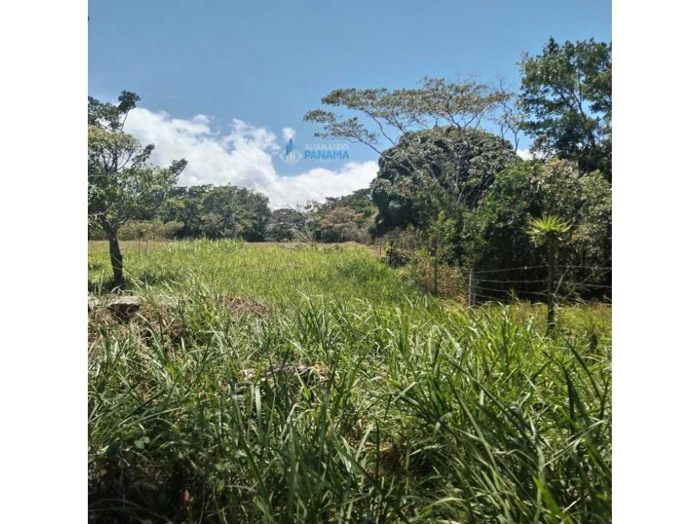 En venta terreno en Alto Boquete - 4