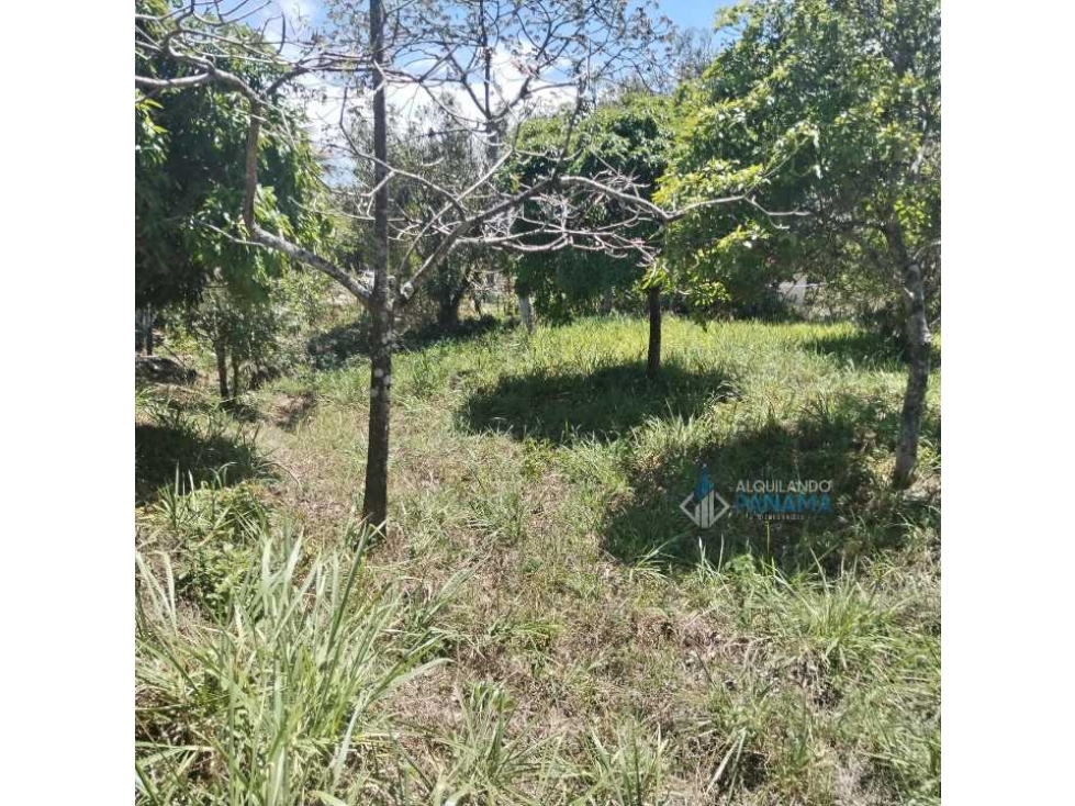 En venta terreno en Alto Boquete - 5