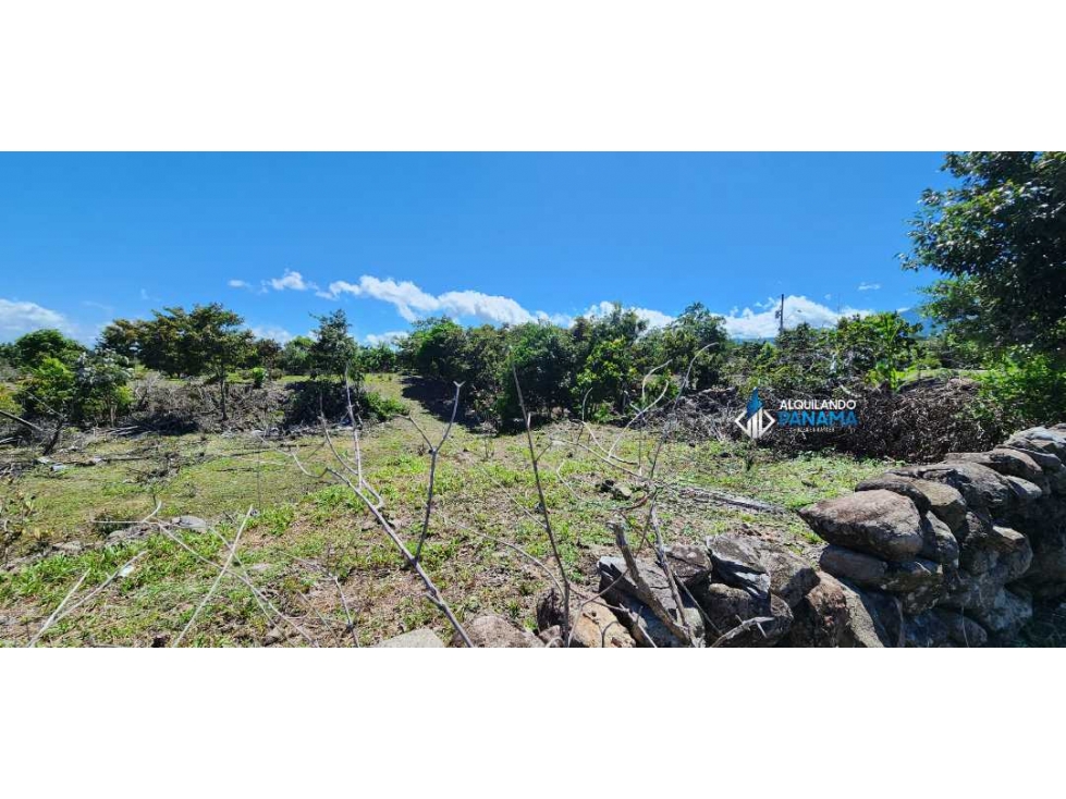 En venta terreno en Alto Boquete - 3