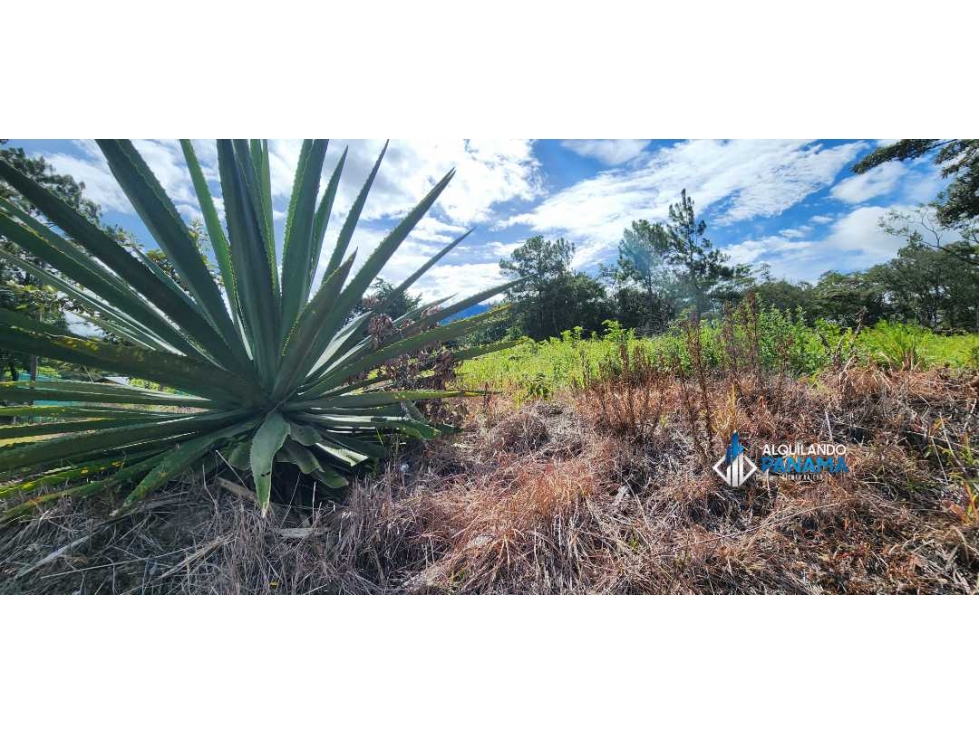 En venta terreno en Volcancito Boquete - 2