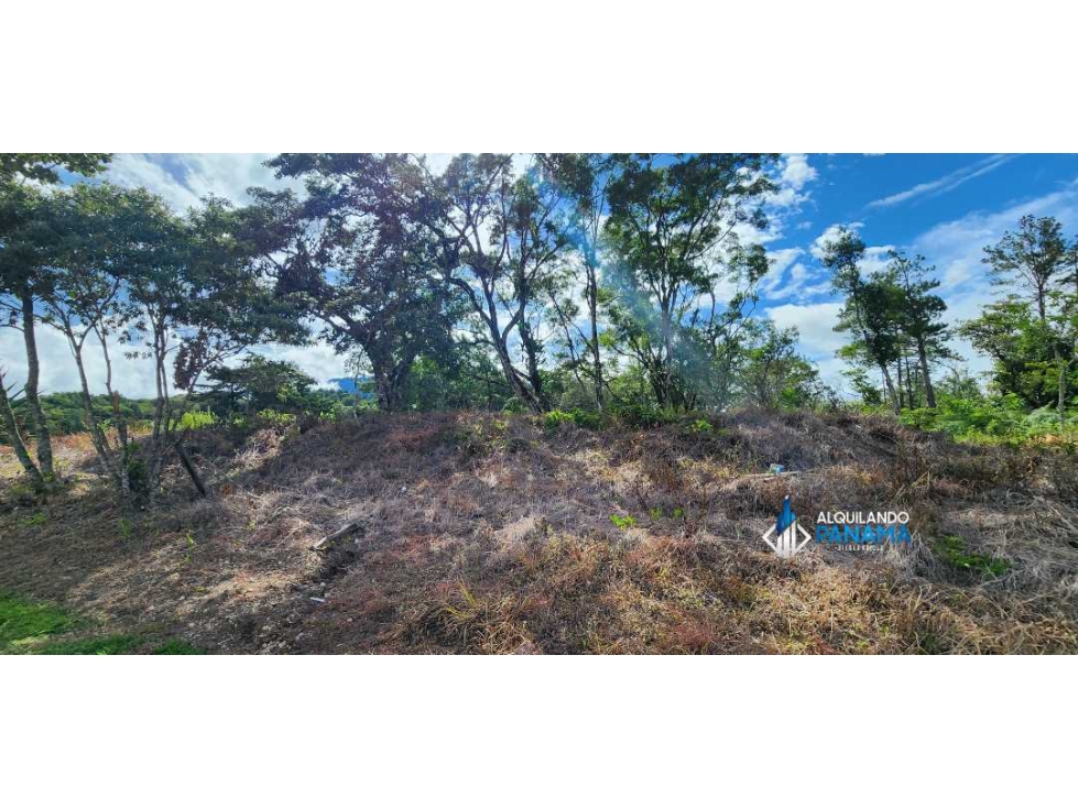 En venta terreno en Volcancito Boquete - 3