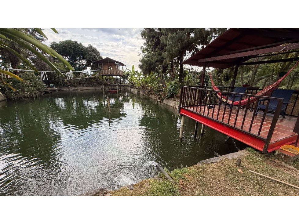 VILLA MIGELITA | ECOLODGE EN VENTA CRISTAL HOUSE GLAMPING | PALMIRA - 1