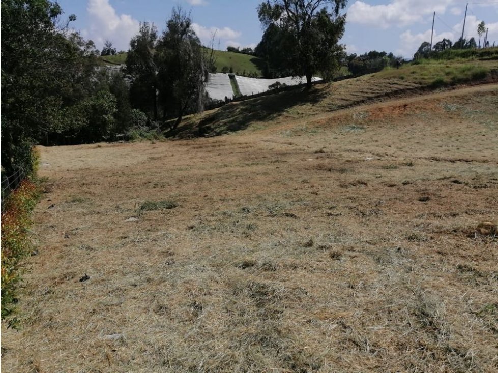 ENCANTADOR LOTE CAMPESTRE EN VENTA EL CARMEN DE VIBORAL — foto 3