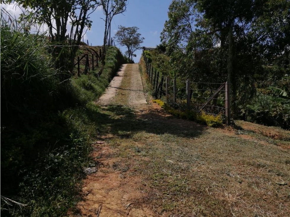 ENCANTADOR LOTE CAMPESTRE EN VENTA EL CARMEN DE VIBORAL — foto 4