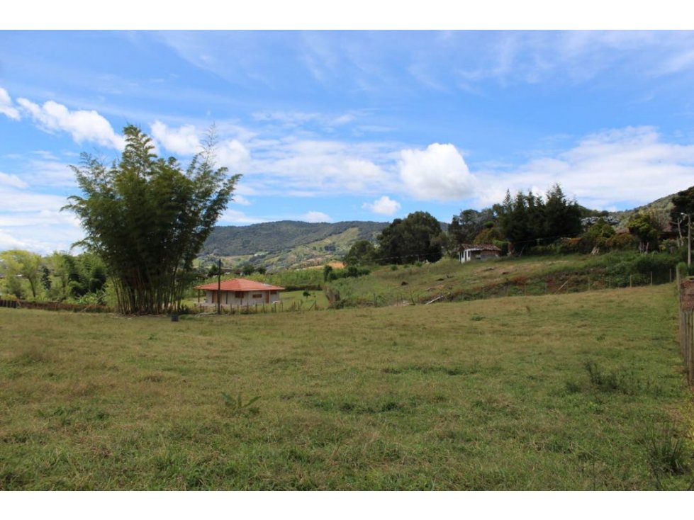 ENCANTADOR LOTE EN VENTA EL CÁRMEN DE VIBORAL — foto 4