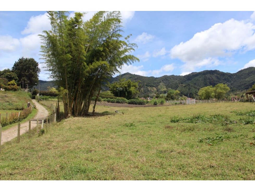 ENCANTADOR LOTE EN VENTA EL CÁRMEN DE VIBORAL — foto 5