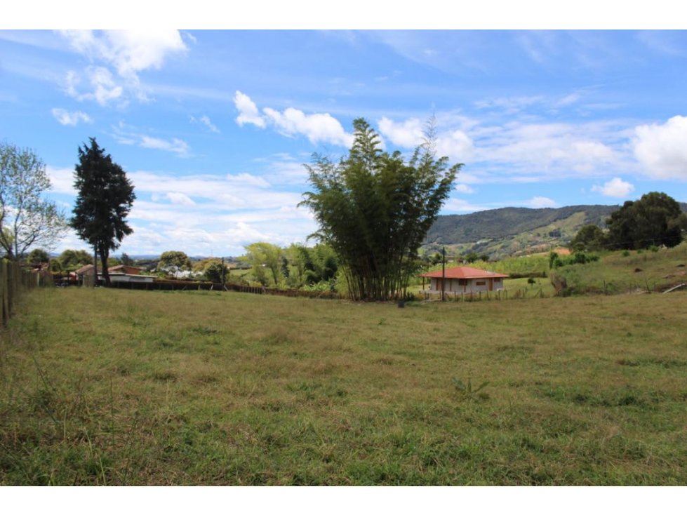 ENCANTADOR LOTE EN VENTA EL CÁRMEN DE VIBORAL — foto 6