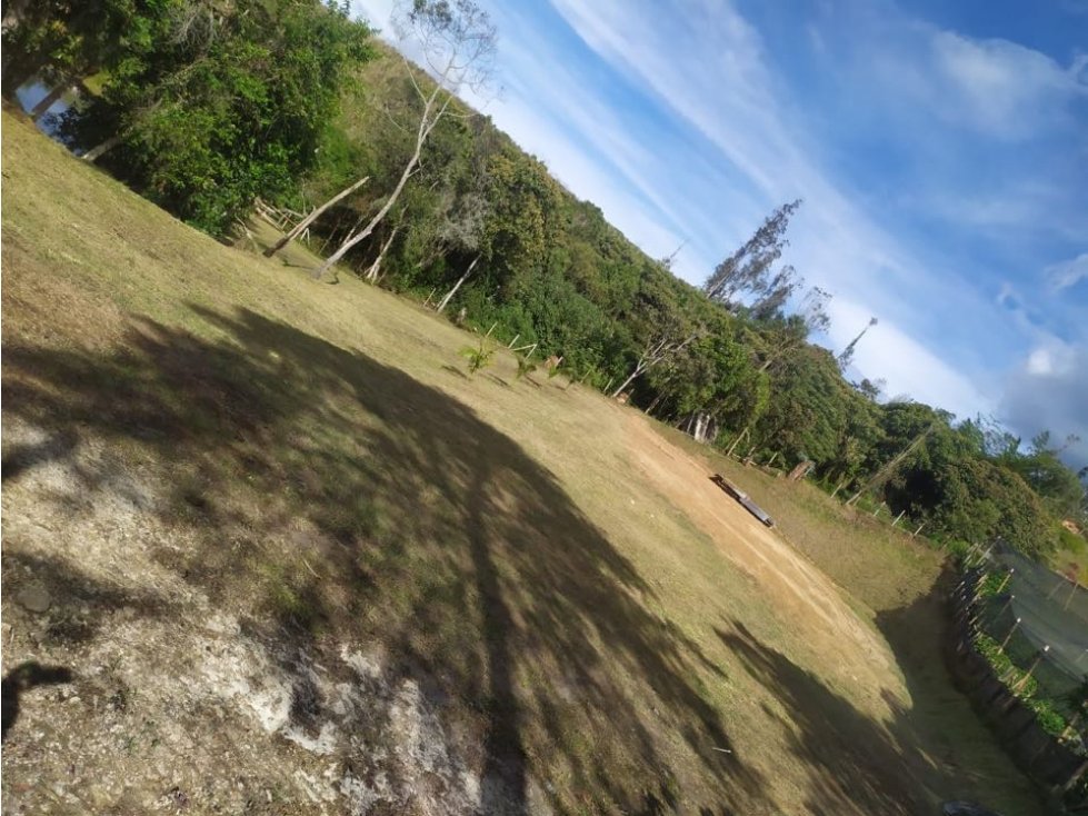 ENCANTADOR LOTE EN VENTE VEREDA SAMARIA EL CARMEN DE VIBORAL — foto 2