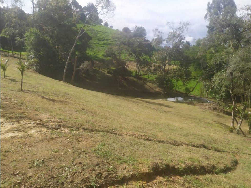 ENCANTADOR LOTE EN VENTE VEREDA SAMARIA EL CARMEN DE VIBORAL — foto 4