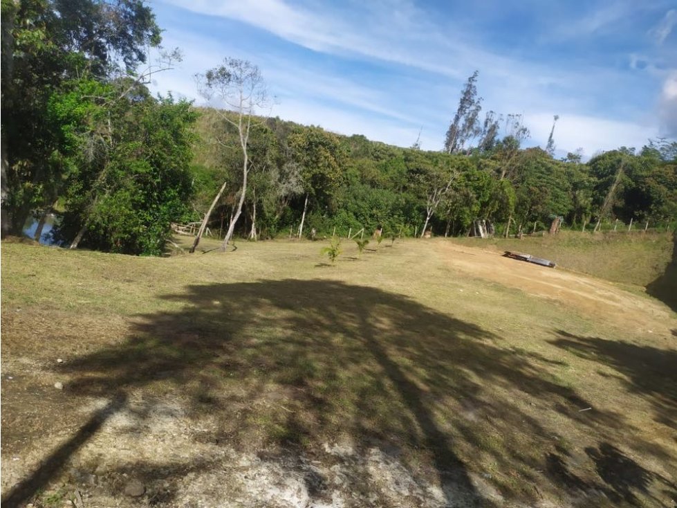 ENCANTADOR LOTE EN VENTE VEREDA SAMARIA EL CARMEN DE VIBORAL — foto 5