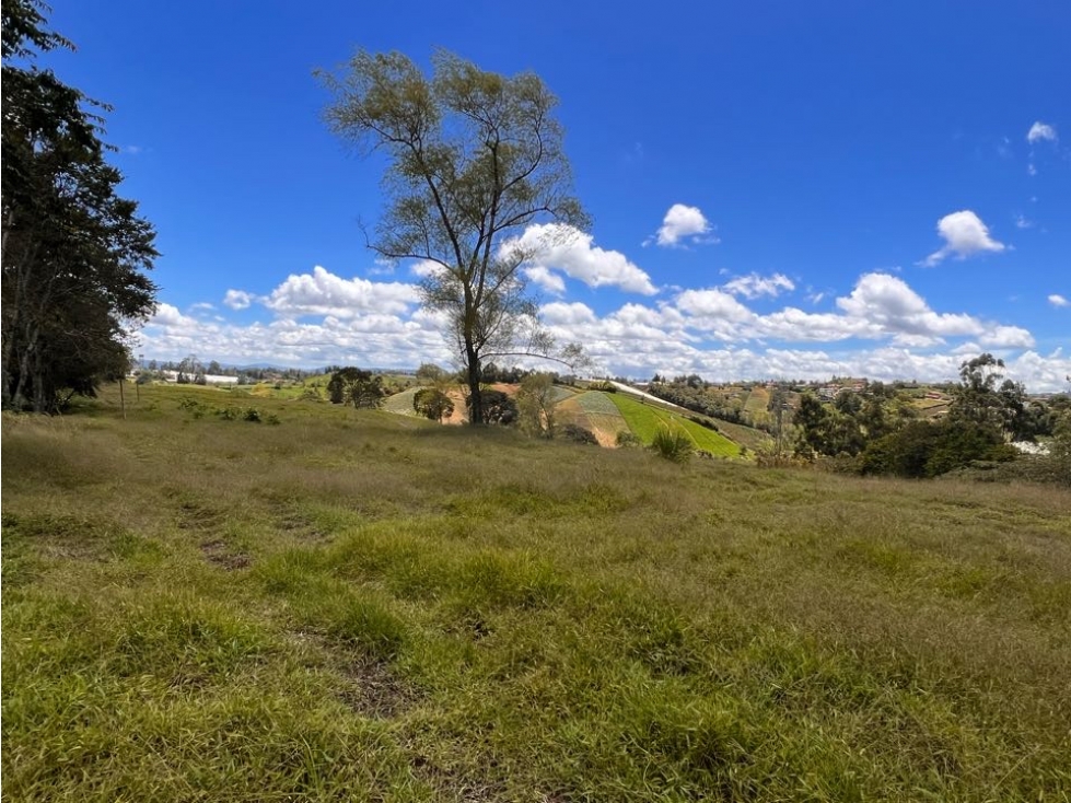 ENCANTADOR PROYECTO DE LOTES EN VENTA EN EL CARMEN DE VIBORAL — foto 3