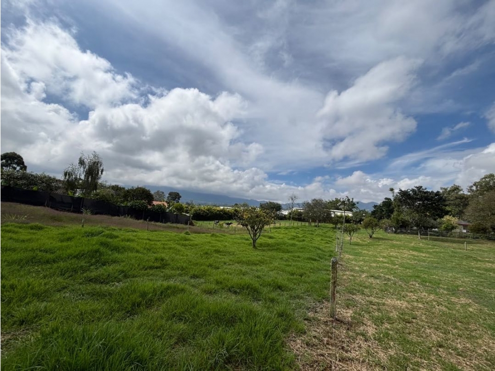 Encantadora finca en la vía La Ceja Llanogrande vereda San Nicolás - 3