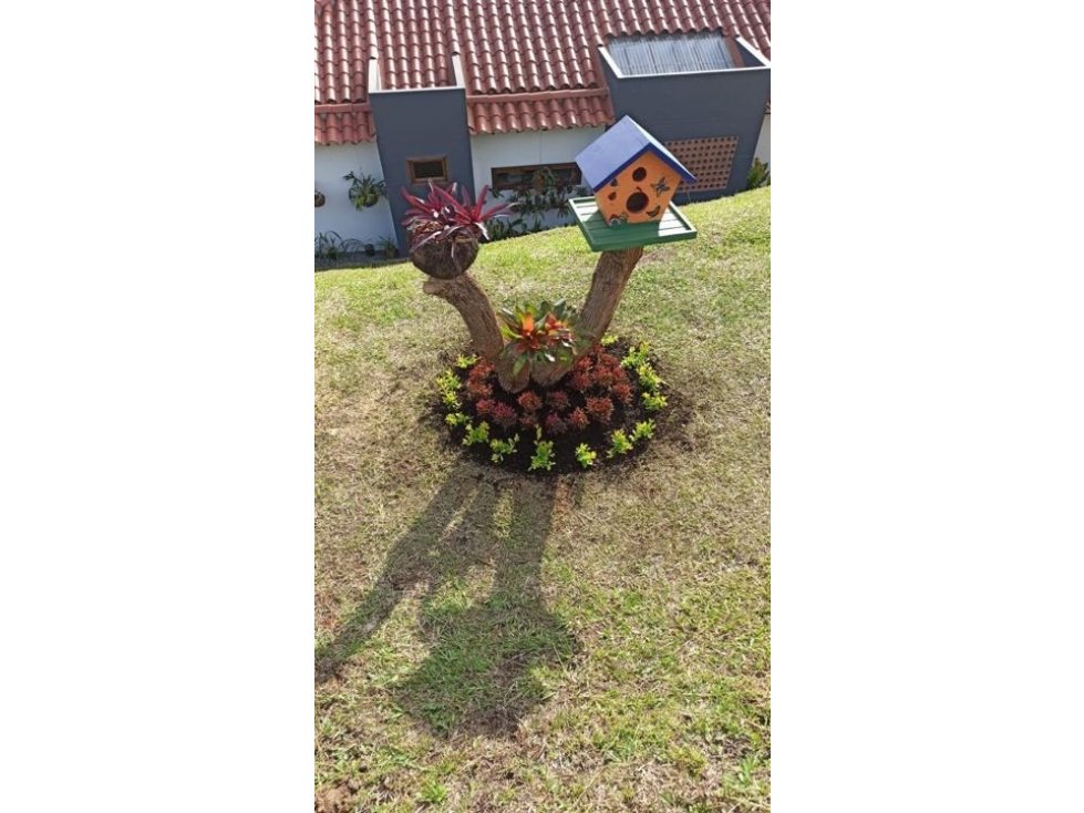 ENCANTADORA FINCA EN VENTA NUEVA PARA ESTRENAR EN EL CARMEN DE VIBORAL — foto 6