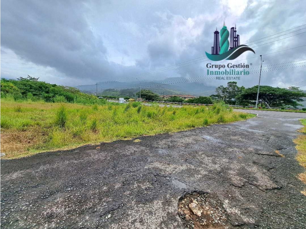 EN.VENTA LOTE COMERCIAL.DE 3300mts con.37 de frente via principal AB. — foto 6