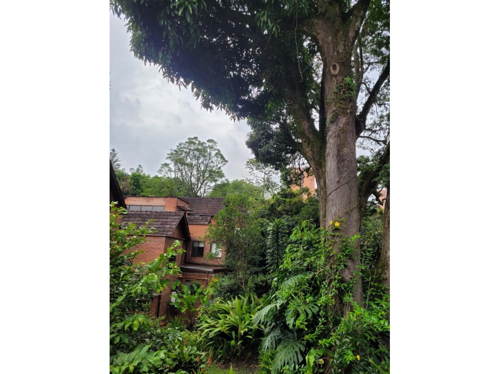 ENVIGADO| LAS BRUJAS