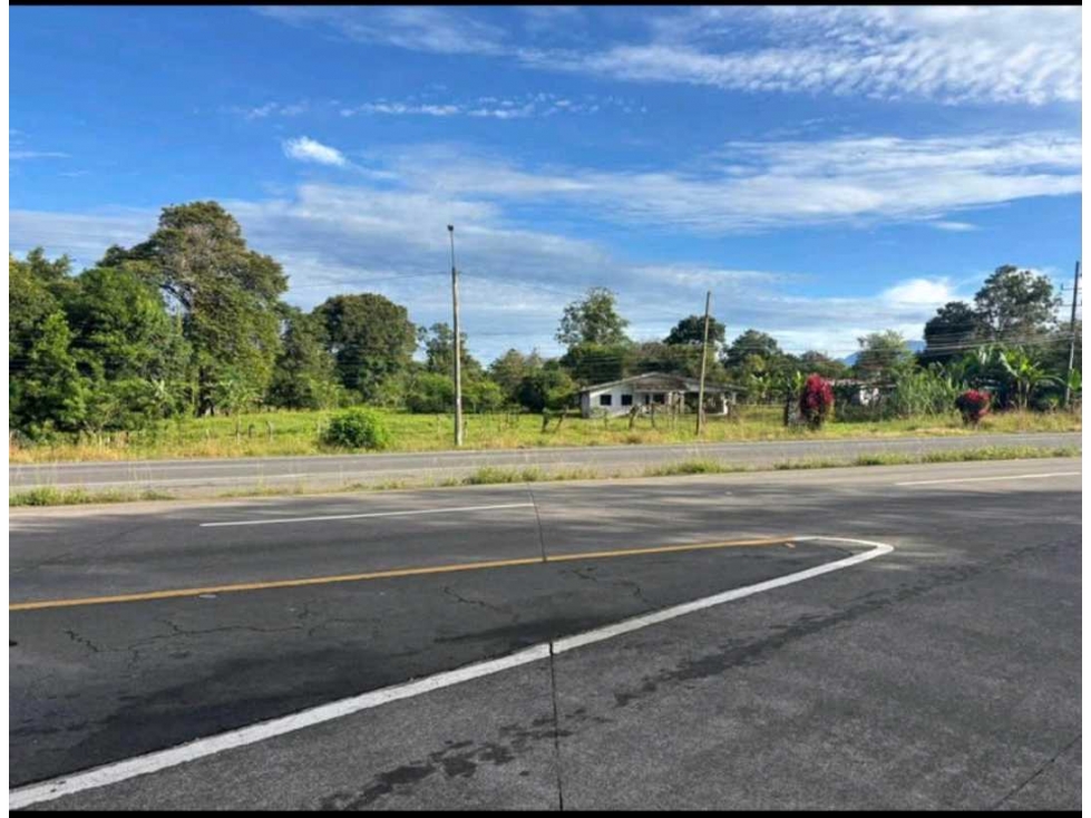 Excelente terreno en venta - 5