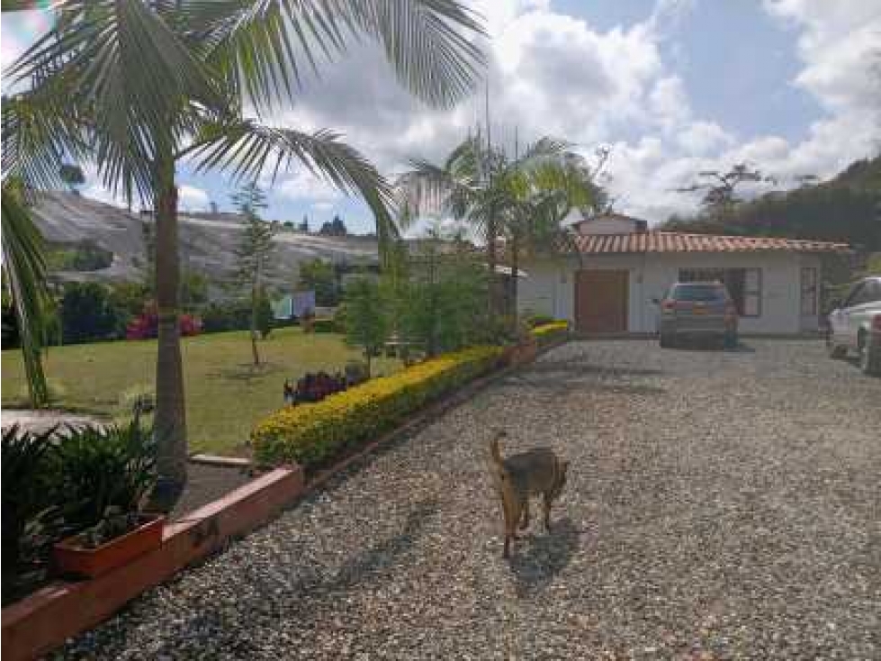 ESPECTACULAR CASA FINCA EN VENTA EN LA VEREDA SAMARIA DEL CARMEN VIB.