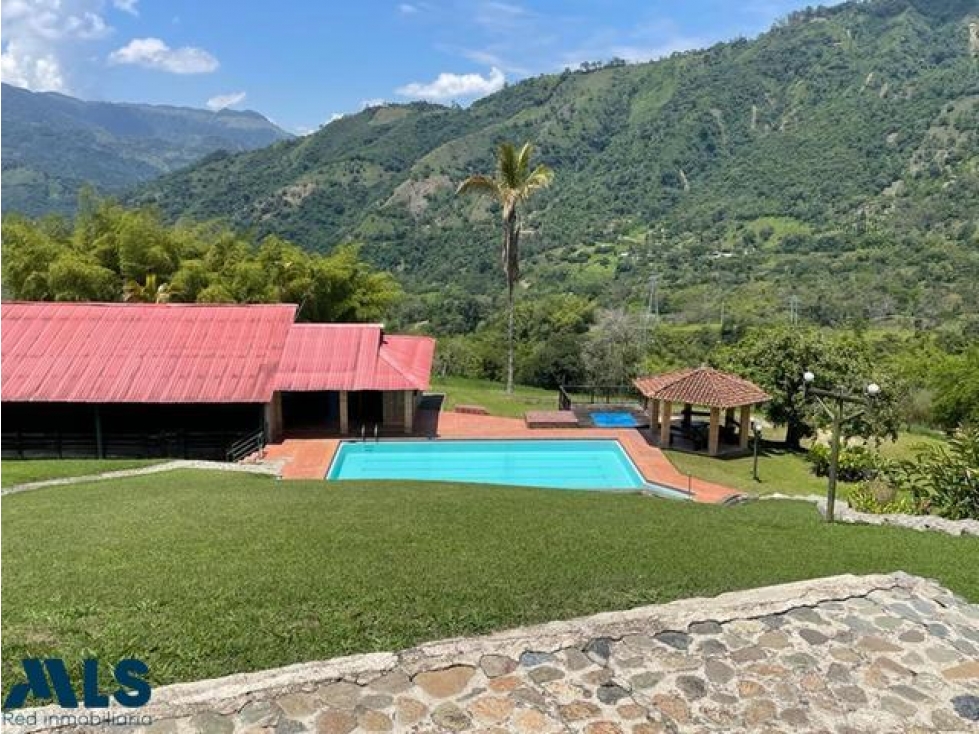 Espectacular finca de recreo en Amagá(MLS#241948) - 5