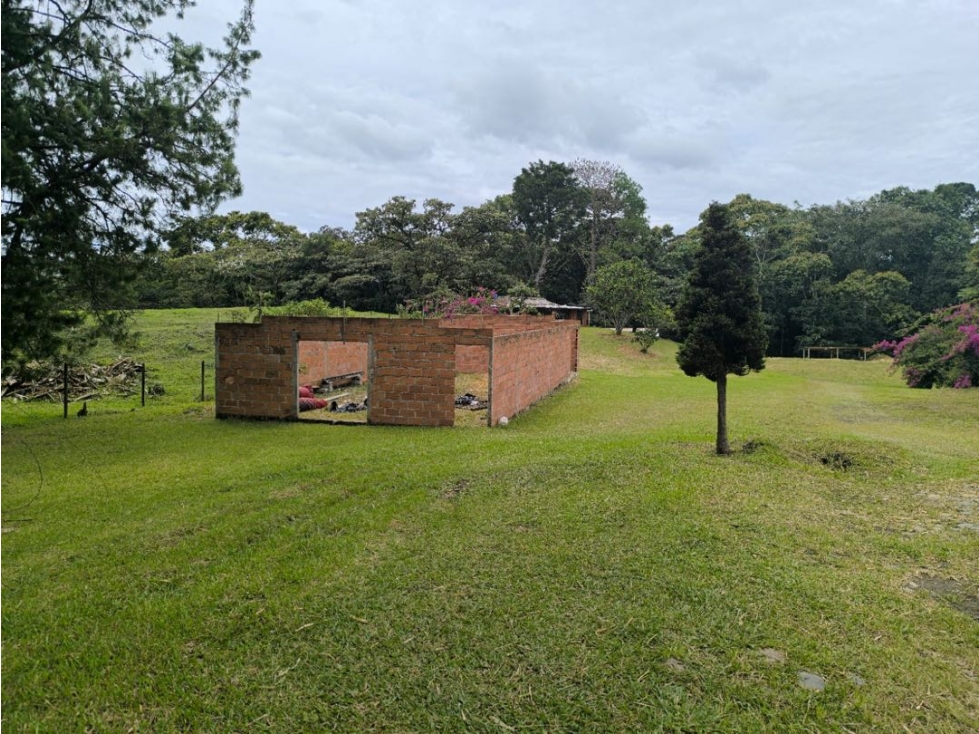 Espectacular finca independiente en La Ceja vereda Las Lomitas — foto 5