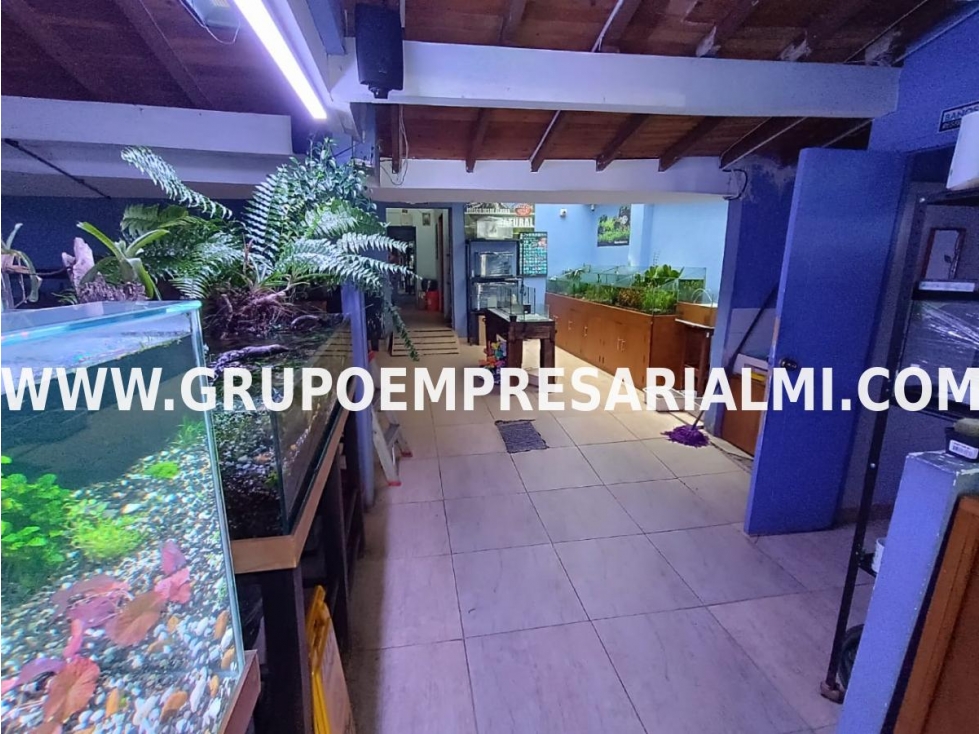 ESPECTACULAR LOCAL EN ARRIENDO - SECTOR POBLADO COD: 29692 — foto 3